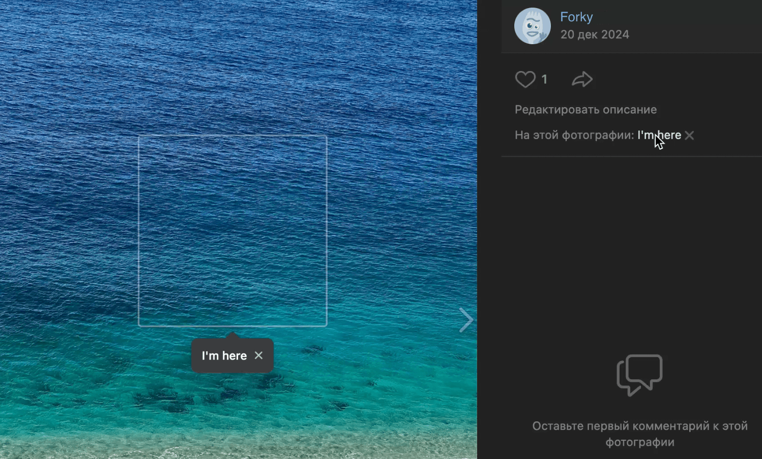 photos_tags.png
